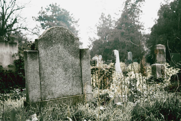 istock Tombstone on a Cemetery 955501690