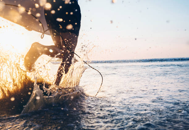 istock Man surfer run in ocean with surfboard. Closeup image water splashes and legs, sunset light 955502658