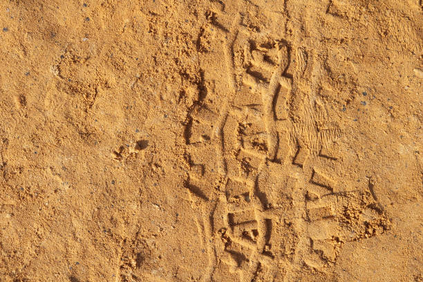 piste de la voiture sur le sable sur le resort dead sea à ein bokek, dead sea, israël - tire track egypt track africa photos et images de collection