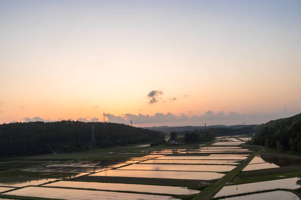 Countryside scenery in evening of Ichihara city, Chiba prefecture, Japan stock photo