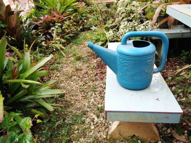 istock Blue plastic watering can or pot on the concrete bench in tropical garden. 955507220