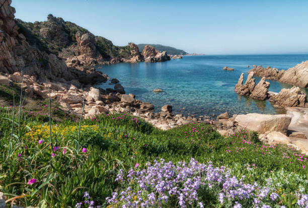 istock Rocky coastline in Costa Paradiso in Sardinia 955507400
