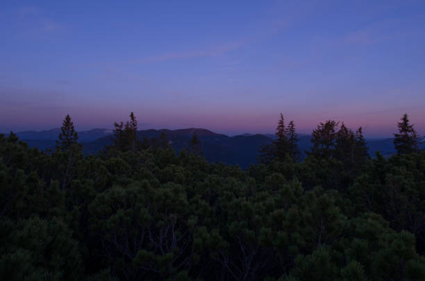 Night twilight in nature. Night in the mountains. The darkness and gloom.