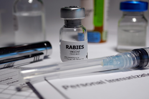 Rabies vaccine - administration of antigenic material (vaccine) to stimulate an individual's immune system to develop adaptive immunity to a pathogen.
