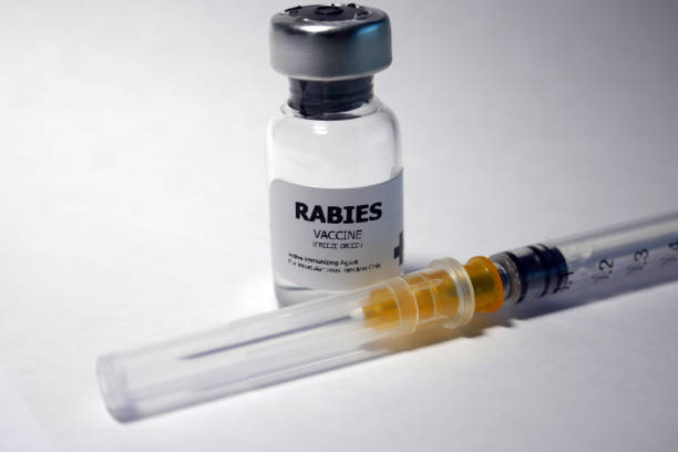 Rabies immunizatioin stock photo