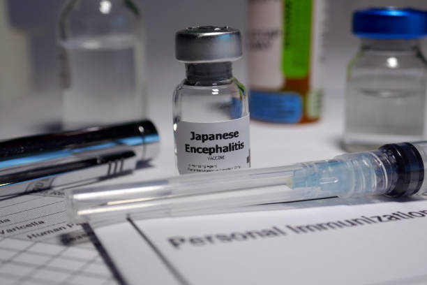 istock Japanese encephalitis vaccine 955515296