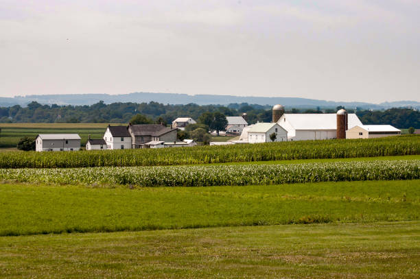 istock Amish Farm on Sunny Day 3 955515676