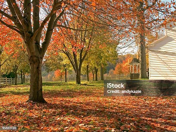 국가 추절 가을에 대한 스톡 사진 및 기타 이미지 - 가을, 앞마당 또는 뒷마당, 잎