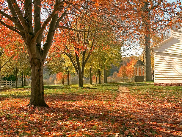 istock A view of a beautiful fall day with colorful leaves 95551720
