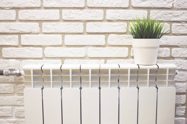 istock pot of grass on the radiator 955518384