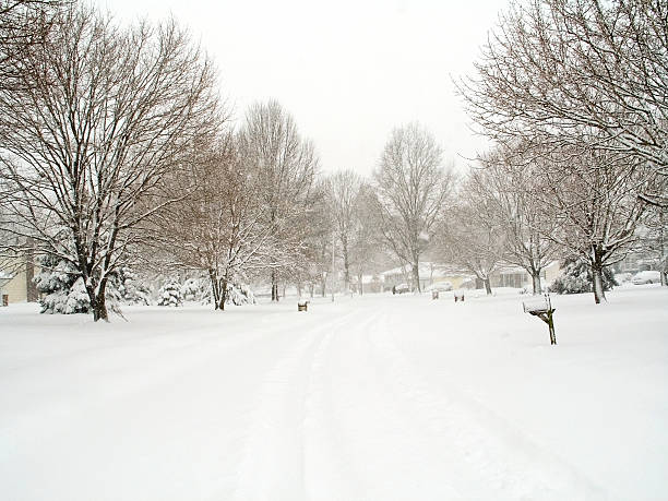 istock Neighborhood Snow 95551856