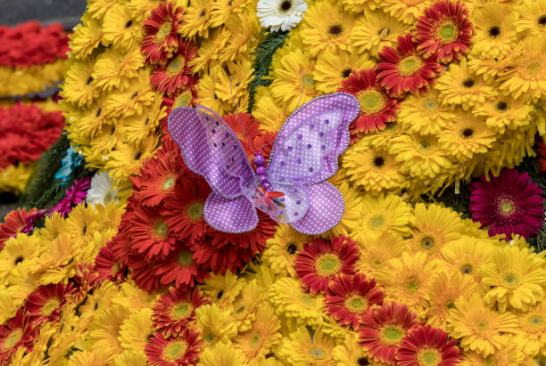 flowers decoration at the madeira flower festival. madeira islands, portugal - flower parade imagens e fotografias de stock