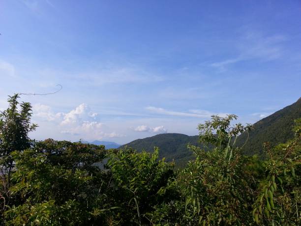 istock The precious blue sky in Shenzhen 955523154