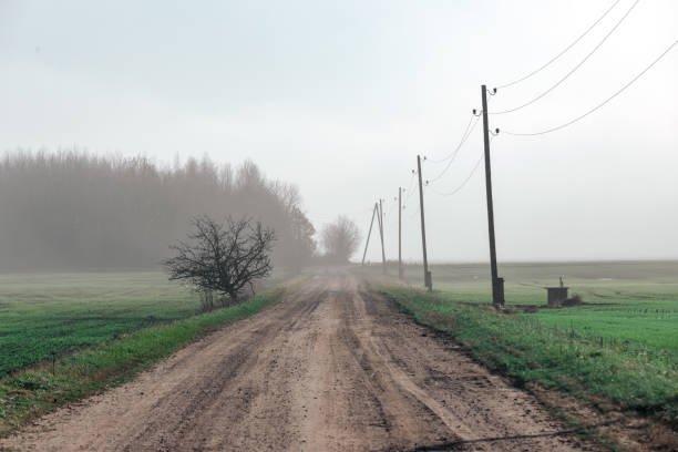 istock beautiful green meadow in heavy mist 955526962