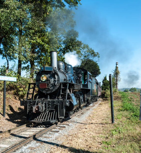 istock Steam Locomotive on a Sunny Summer Day 955530302