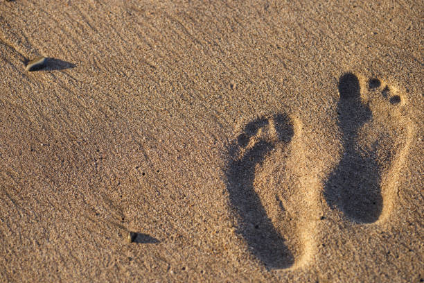 istock Human footprints on the sand beach. Travel vacations concept. 955537424