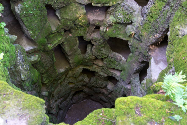 istock Pozo moss, Sintra, Portugal 955540538