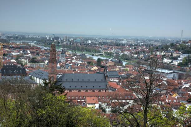 istock Panoramic view of Heidelberg 955540860