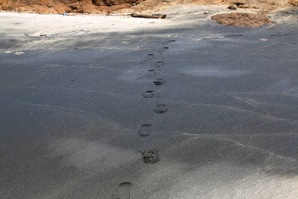 istock Carbon Beach In Costa Rica 955545780