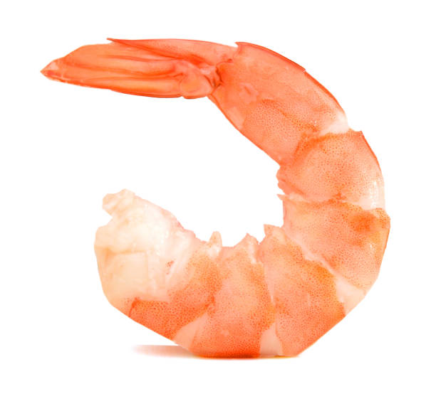 istock One cooked unshelled tiger shrimp isolated on white 955548536