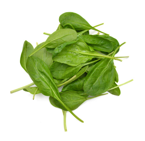 istock Bunch of spinach leaves on isolated white background 955548962