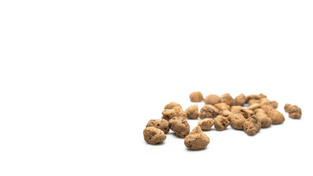istock Lightweight expanded clay aggregate, isolated on white background, banner with copy space for text. Building material, also known as claydite 955558968