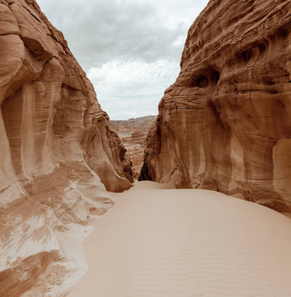 white canyon sinai peninsula, egypt - textured stone desert majestic imagens e fotografias de stock