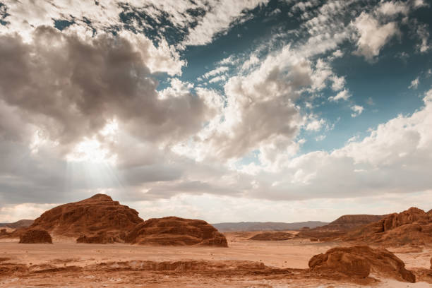 istock Gold arid desert landscape Sinai, Egypt 955559074