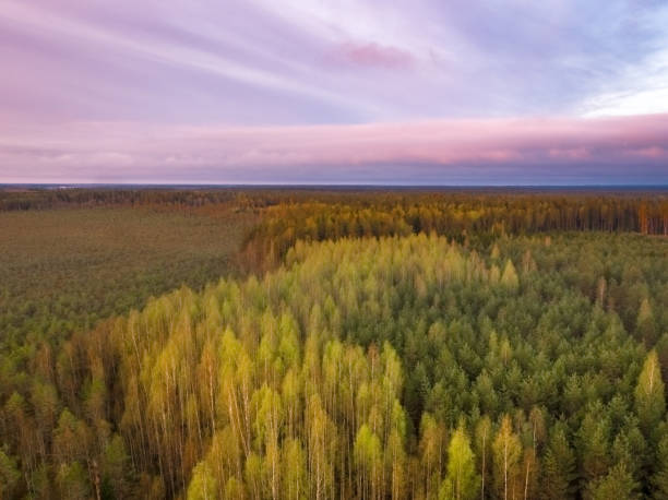 istock amazing landscape view from the dron 955560592