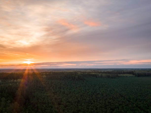 istock amazing landscape view from the dron 955563004