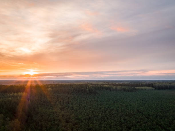 istock amazing landscape view from the dron 955563082