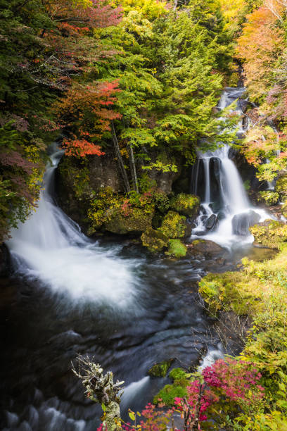 istock Ryuzu fall at Nikko national park in autumn 955584986