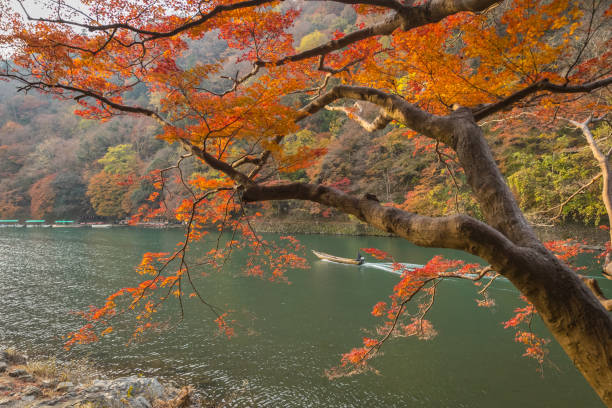 istock Arashiyama town at kyoto in autumn 955586082