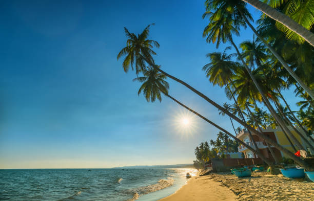 Sunset on the beach with tilted coconut trees Sunset on the beach with tilted coconut trees, long sandy beaches and beautiful golden sky and romantic for the weekend resort. basket boat stock pictures, royalty-free photos & images