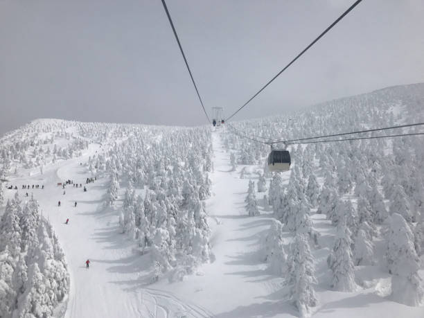 istock Snow scenery of Zao, Yamagata Japan prefecture 955596576