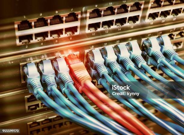 Network Cable Computer Science Information Technology Computer Network Telecommunication Ethernet ...