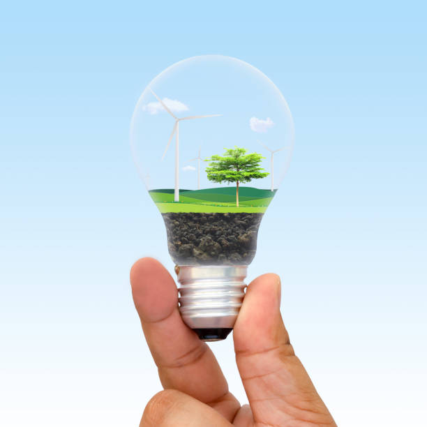 istock Green eco energy concept. Tree growing inside light bulb. nature background. Think green and Ecological concept. world environment day. 955599202