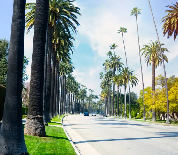 View of Beverly Drive road in Beverly Hills on a sunny day