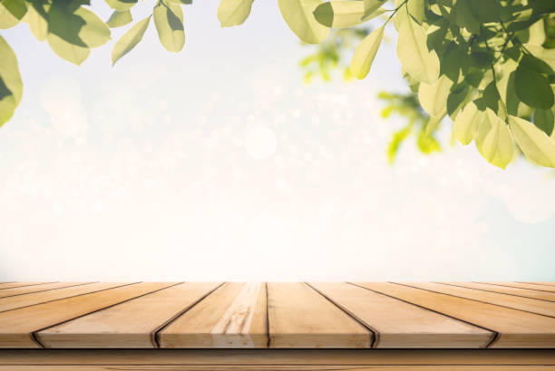 istock Empty wooden table over green tree in graden under sunrise. for product display. 955608042