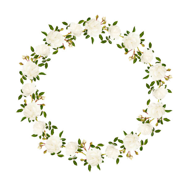 istock Garden roses flowers in a round wreath 955618532