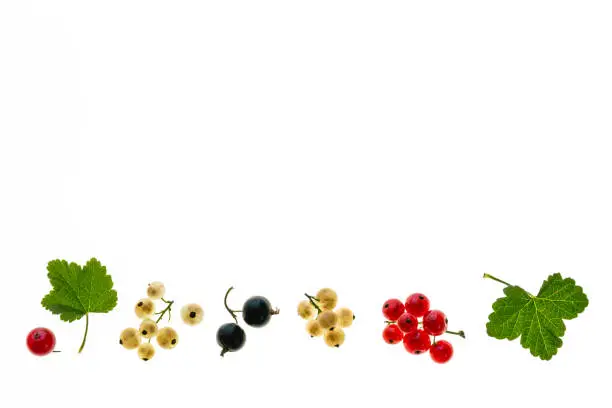 close-up of blackcurrants, red-currants and white-currants on white background with copy space