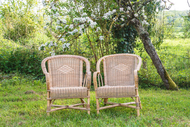 istock French art of living concept 955620252