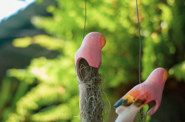 istock Two bird-shape pink ceramic plant pots, with spanish fern inside on blur green tree background 955627600