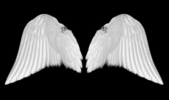 Blanco alas de angel photo