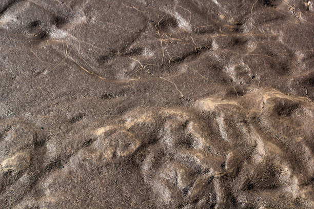 istock texture of wet sand and clay 955628258