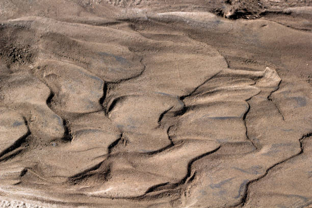 istock texture of wet sand and clay 955628322