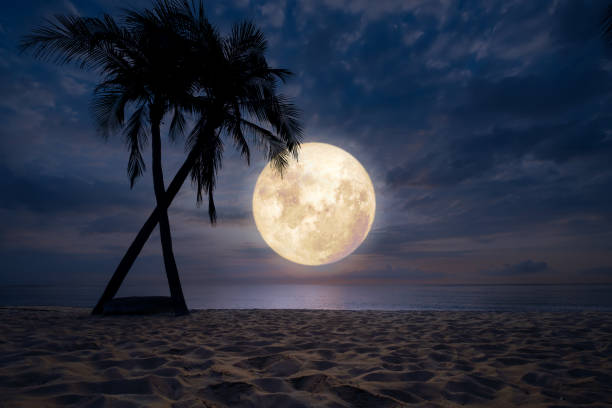 istock seascape with full moon night scene 955628548