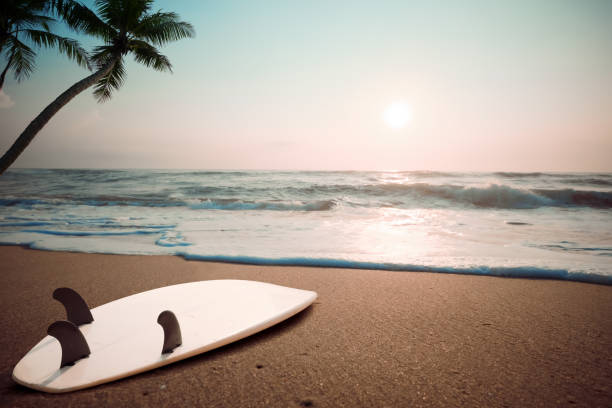 istock Surfboard on tropical beach at sunset 955628624