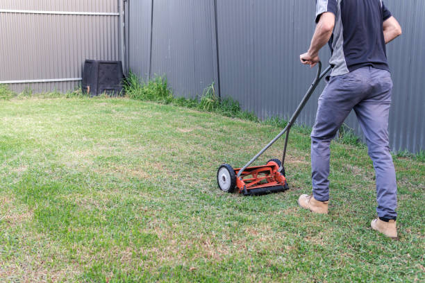 istock Man pushing lawn mower to cut lawn 955640208