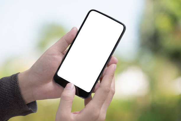 istock Male hand holding smartphone at park. Blank screen mobile phone for graphic display montage 955641226